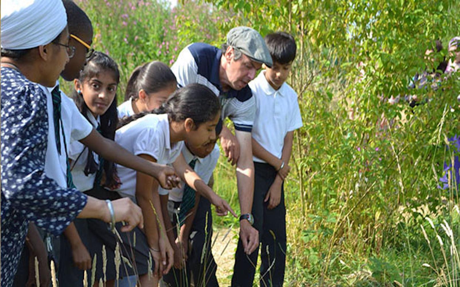 Environment and Sustainability Grants