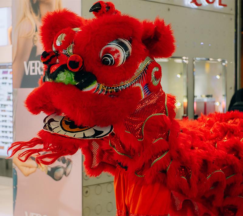Chinese Lion Dancers – Stop by to enjoy this dynamic and colourful tradition.