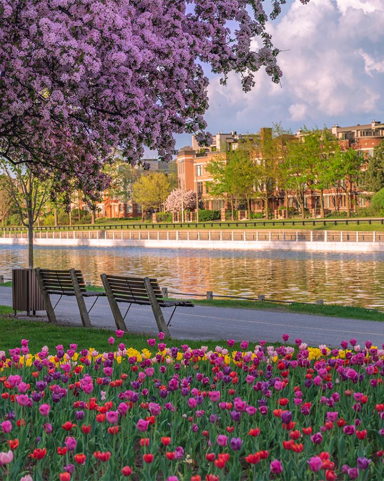 Rideau Canal, Ottawa