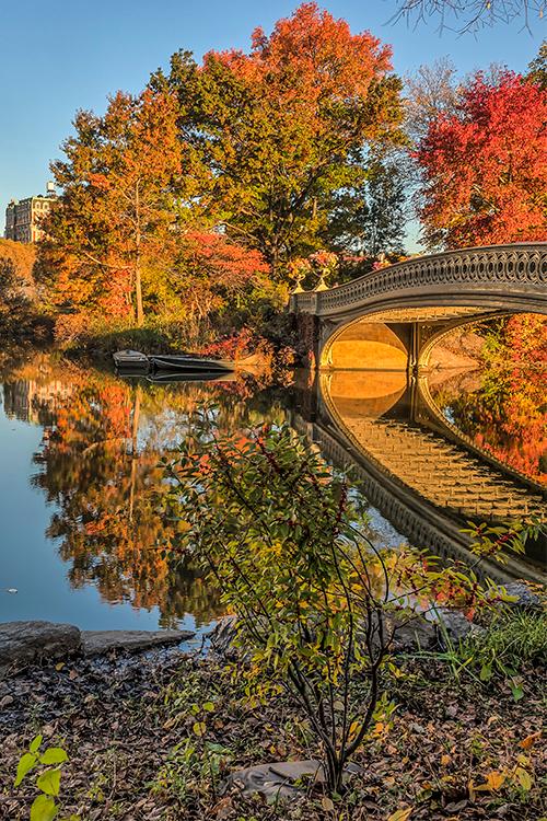 Bow bridge in Central Park during autumn