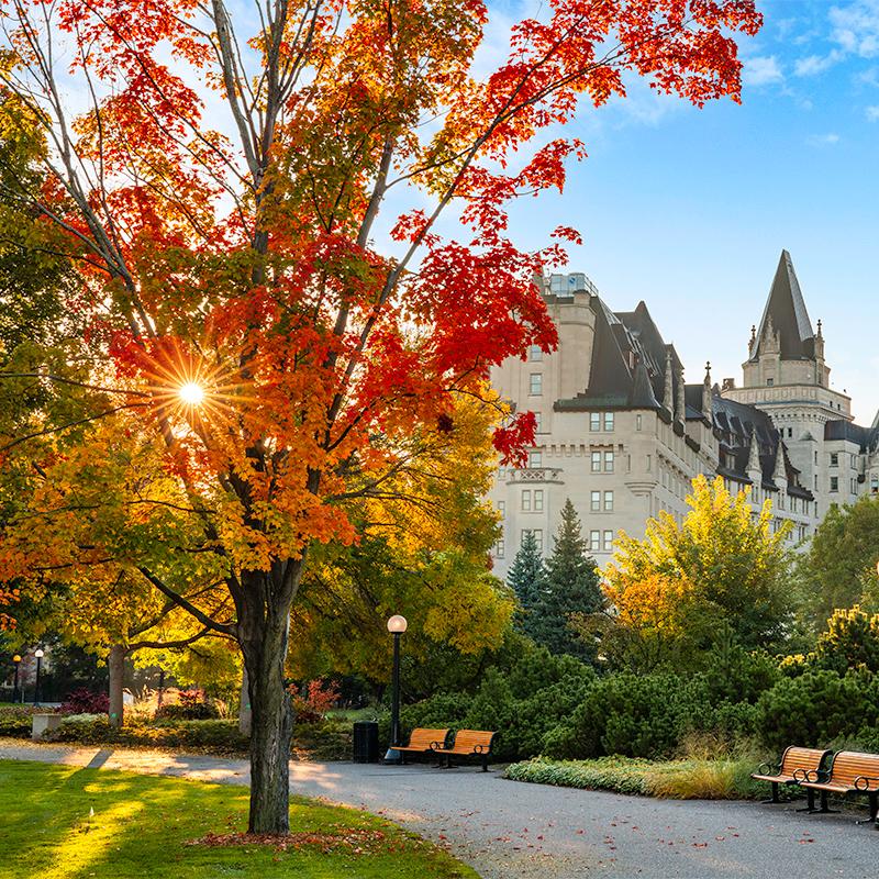 Autumn colours in Major's Hill Park of Ottawa