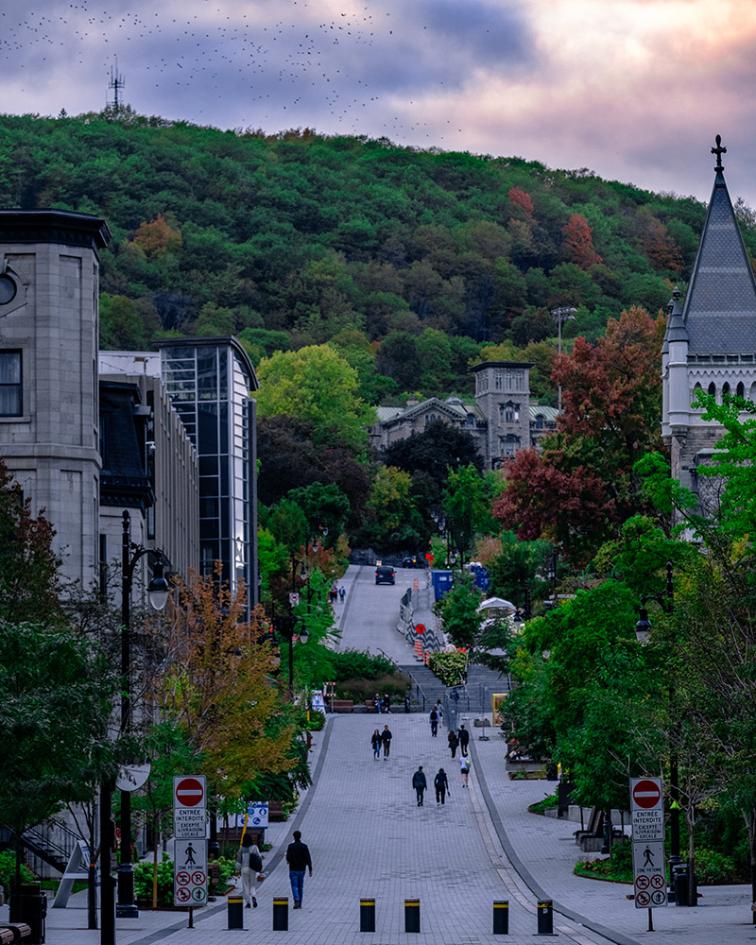 A vertical shot of the city of Montreal, Canada at autumn
