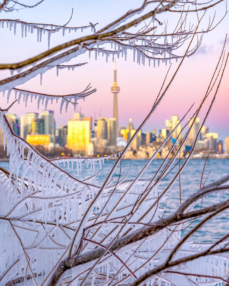 Colourful sunset sky over the Toronto skyline, with ice covered trees in Humber Pay Park. Ontario Canada