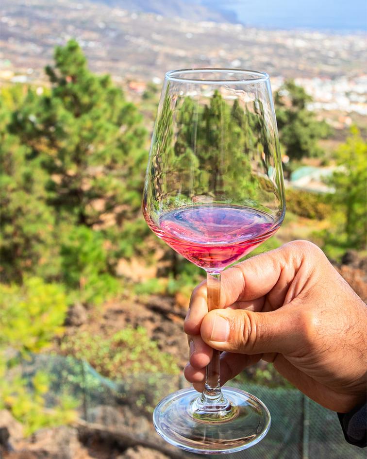 Man's hand holding a glass of rose wine in country the winelands,
