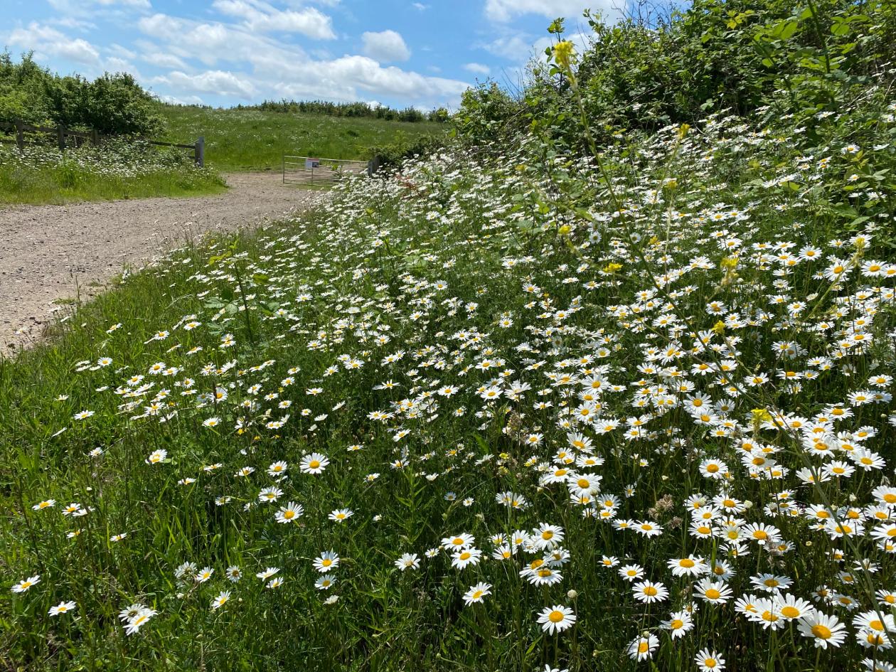 Colne Valley