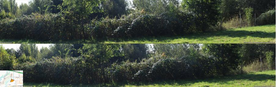 Image shows a example of a noise barrier in summer. A barely noticable fence within thick shrubbery.