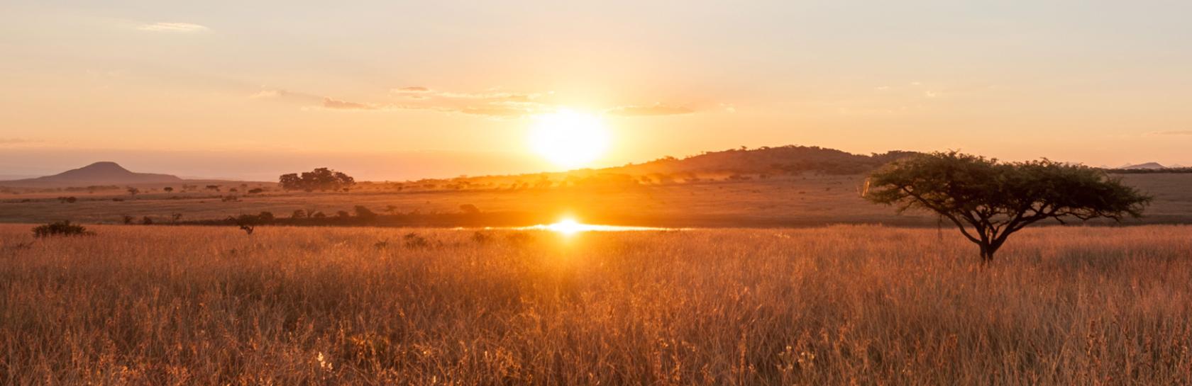 DESKTOP-HERO-Africa.jpg