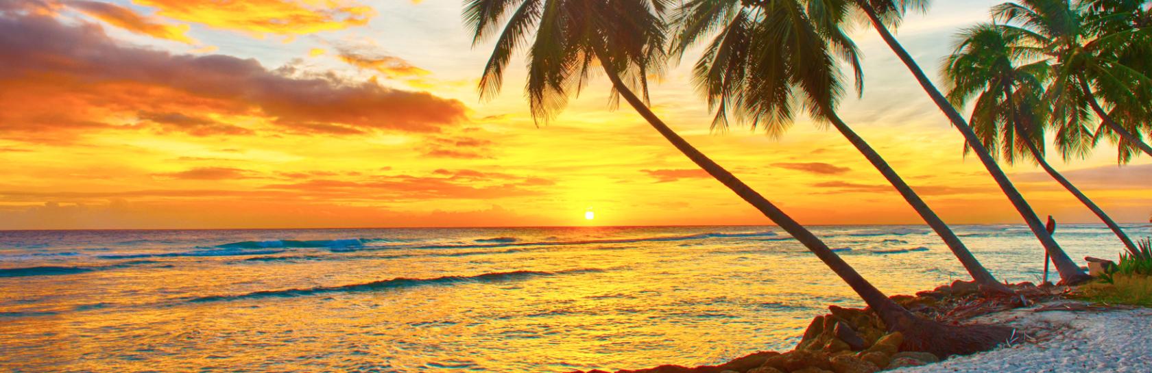 DESKTOP-HERO-Barbados.jpg