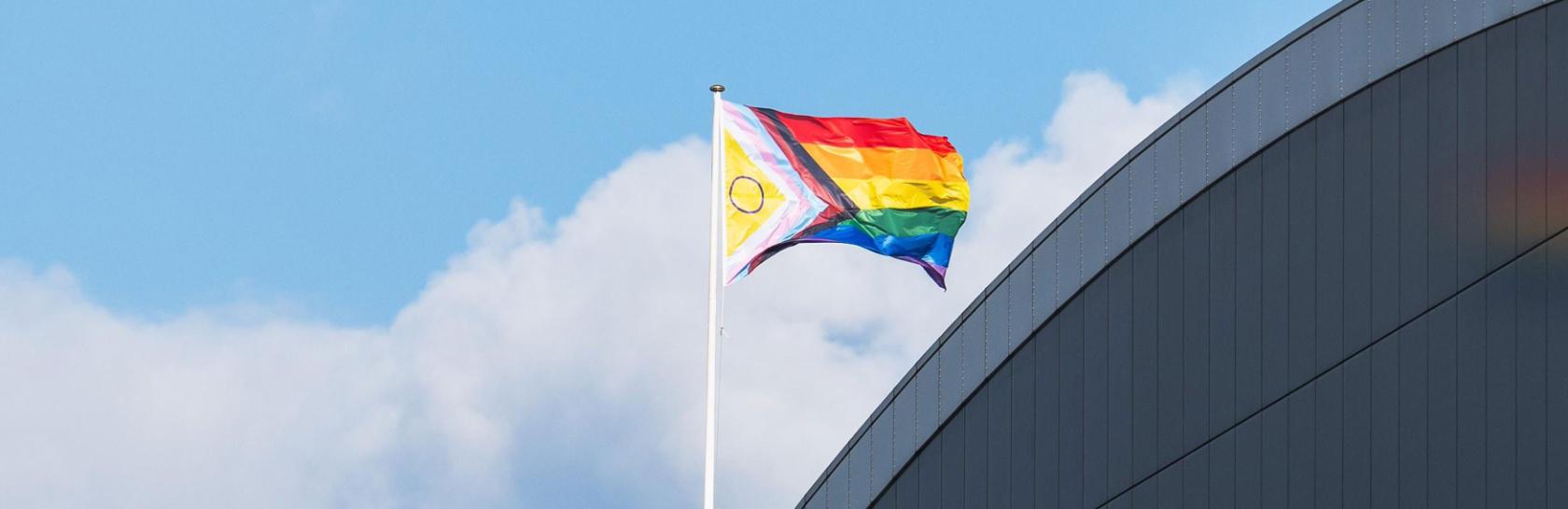 DESKTOP-HERO-Pride-Final.jpg