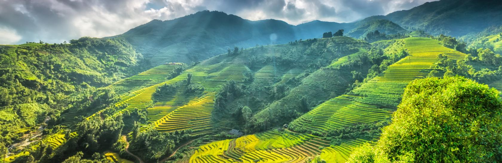 DESKTOP-HERO-Vietnam-1.jpg