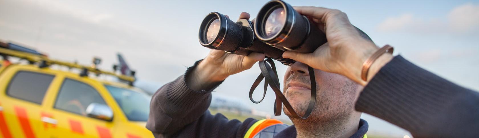 Bird strike desktop.jpg