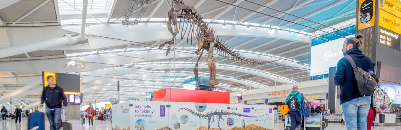 There’s a dinosaur in departures